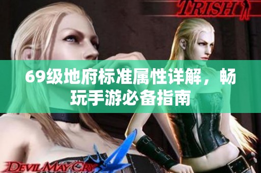 69级地府标准属性详解，畅玩手游必备指南