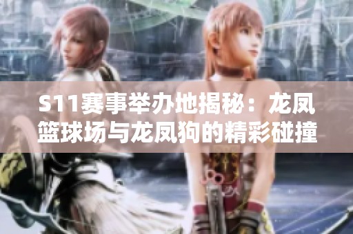 S11赛事举办地揭秘：龙凤篮球场与龙凤狗的精彩碰撞