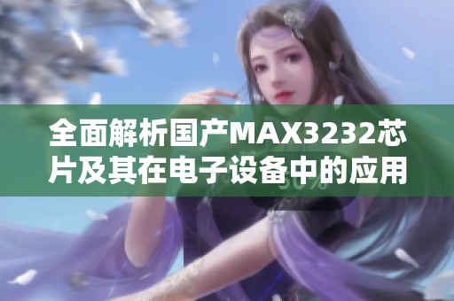 全面解析国产MAX3232芯片及其在电子设备中的应用价值