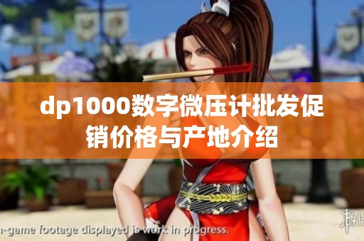 dp1000数字微压计批发促销价格与产地介绍