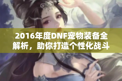 2016年度DNF宠物装备全解析，助你打造个性化战斗伙伴