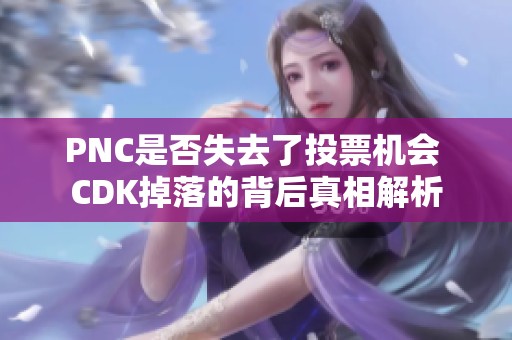 PNC是否失去了投票机会 CDK掉落的背后真相解析