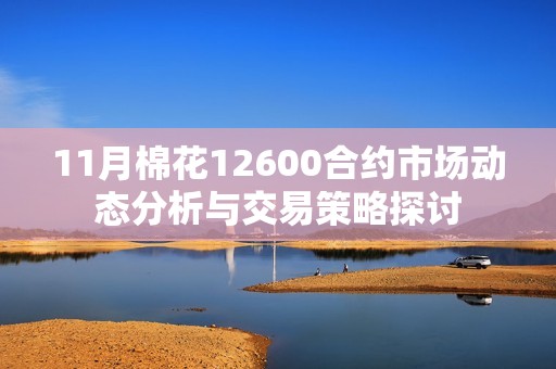11月棉花12600合约市场动态分析与交易策略探讨