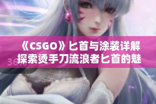 《CSGO》匕首与涂装详解 探索烫手刀流浪者匕首的魅力与玩法