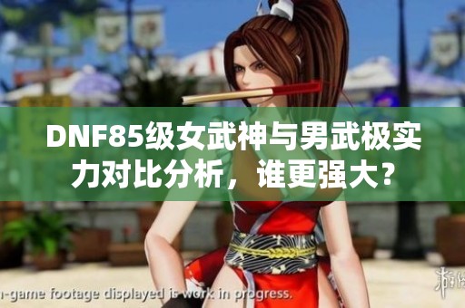 DNF85级女武神与男武极实力对比分析，谁更强大？