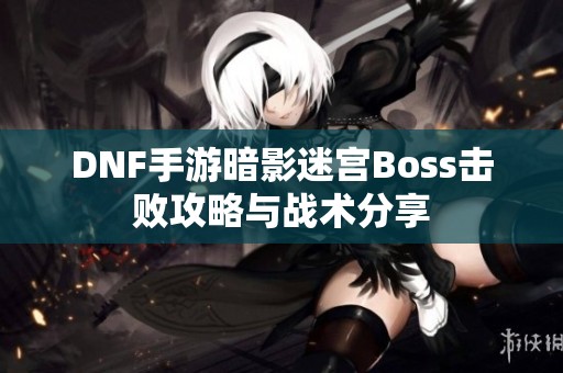 DNF手游暗影迷宫Boss击败攻略与战术分享