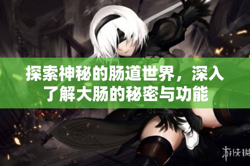 探索神秘的肠道世界，深入了解大肠的秘密与功能
