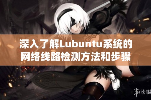 深入了解Lubuntu系统的网络线路检测方法和步骤