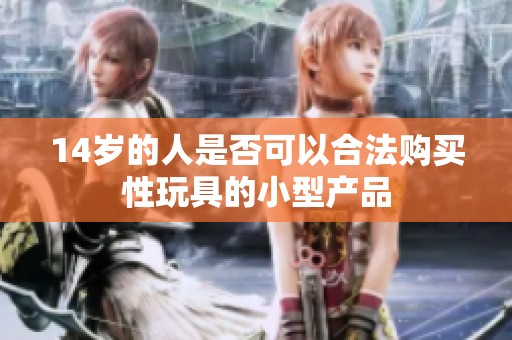 14岁的人是否可以合法购买性玩具的小型产品