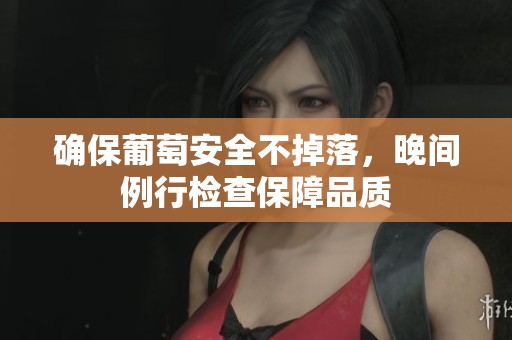 确保葡萄安全不掉落，晚间例行检查保障品质