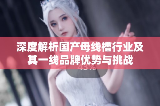 深度解析国产母线槽行业及其一线品牌优势与挑战