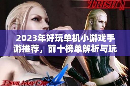 2023年好玩单机小游戏手游推荐，前十榜单解析与玩法介绍