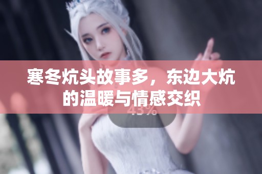 寒冬炕头故事多，东边大炕的温暖与情感交织