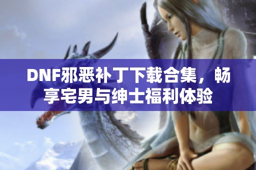 DNF邪恶补丁下载合集，畅享宅男与绅士福利体验