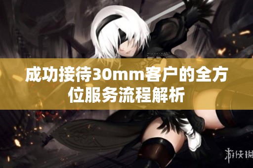 成功接待30mm客户的全方位服务流程解析
