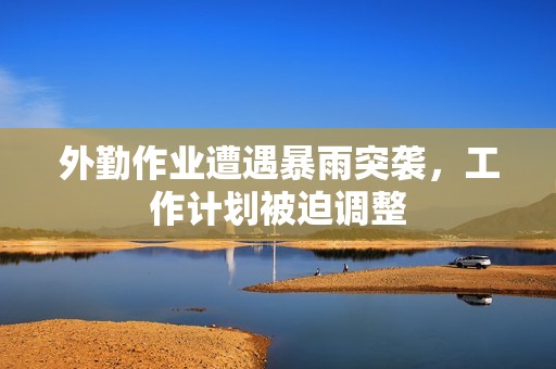 外勤作业遭遇暴雨突袭，工作计划被迫调整