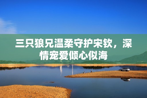 三只狼兄温柔守护宋钦，深情宠爱倾心似海