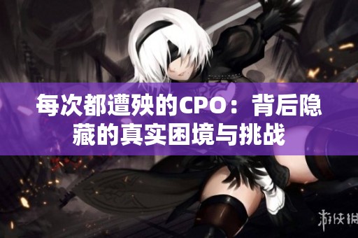 每次都遭殃的CPO：背后隐藏的真实困境与挑战