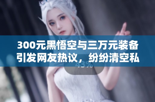 300元黑悟空与三万元装备引发网友热议，纷纷清空私房钱支持