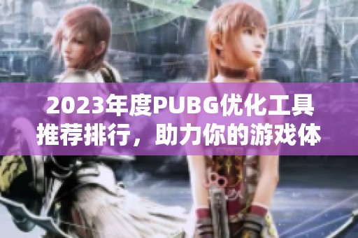 2023年度PUBG优化工具推荐排行，助力你的游戏体验提升