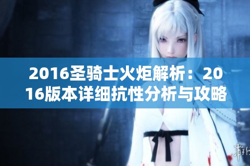 2016圣骑士火炬解析：2016版本详细抗性分析与攻略