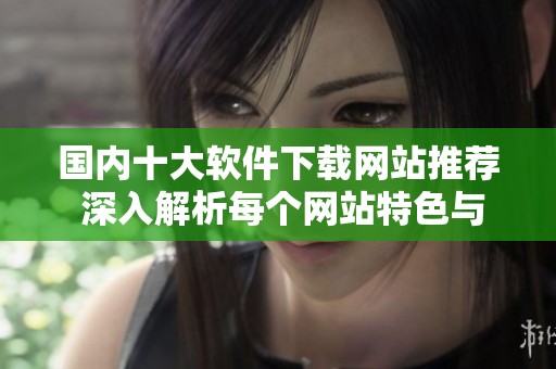 国内十大软件下载网站推荐 深入解析每个网站特色与优势