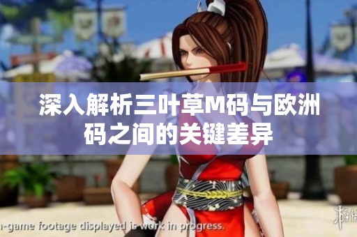 深入解析三叶草M码与欧洲码之间的关键差异