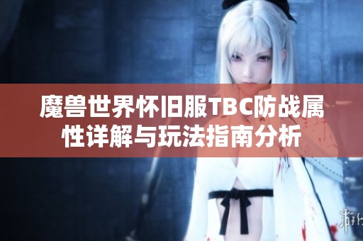 魔兽世界怀旧服TBC防战属性详解与玩法指南分析