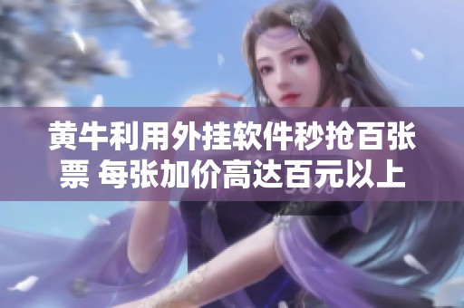 黄牛利用外挂软件秒抢百张票 每张加价高达百元以上