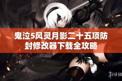 鬼泣5风灵月影二十五项防封修改器下载全攻略