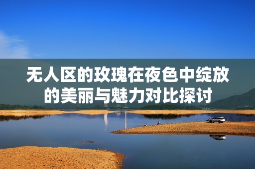 无人区的玫瑰在夜色中绽放的美丽与魅力对比探讨
