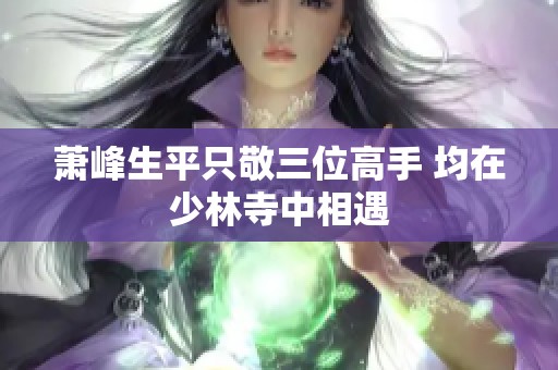 萧峰生平只敬三位高手 均在少林寺中相遇