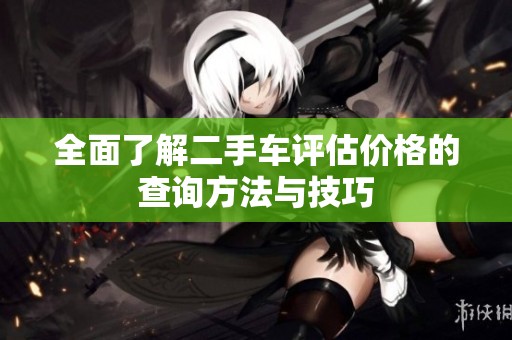 全面了解二手车评估价格的查询方法与技巧