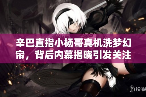 辛巴直指小杨哥真机洗梦幻帘，背后内幕揭晓引发关注
