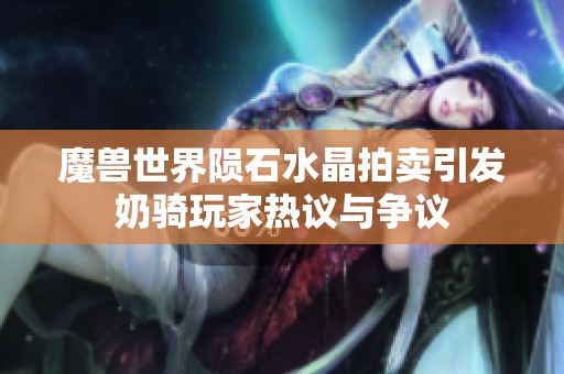 魔兽世界陨石水晶拍卖引发奶骑玩家热议与争议