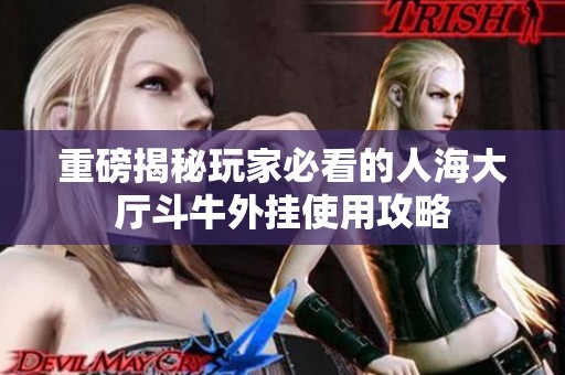 重磅揭秘玩家必看的人海大厅斗牛外挂使用攻略