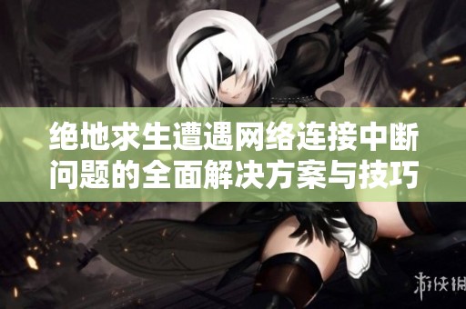 绝地求生遭遇网络连接中断问题的全面解决方案与技巧