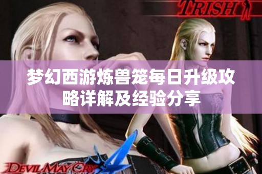 梦幻西游炼兽笼每日升级攻略详解及经验分享