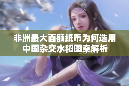 非洲最大面额纸币为何选用中国杂交水稻图案解析