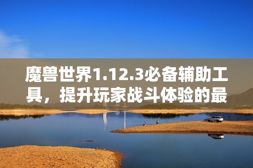 魔兽世界1.12.3必备辅助工具，提升玩家战斗体验的最佳选择