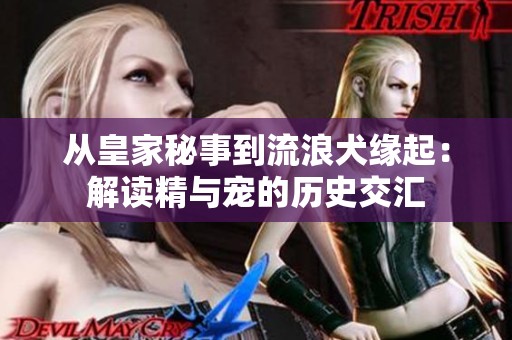 从皇家秘事到流浪犬缘起：解读精与宠的历史交汇