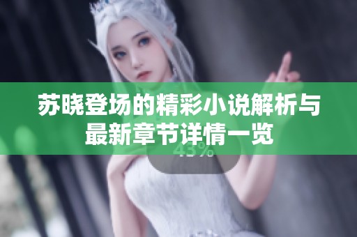 苏晓登场的精彩小说解析与最新章节详情一览