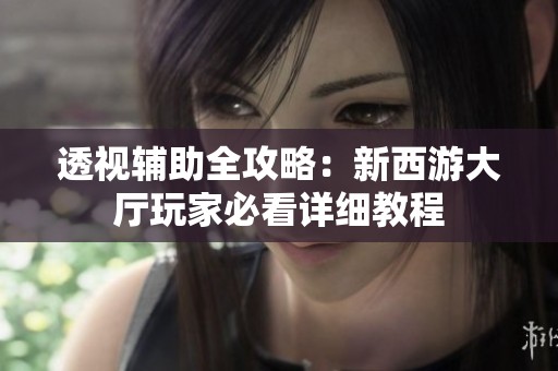 透视辅助全攻略：新西游大厅玩家必看详细教程