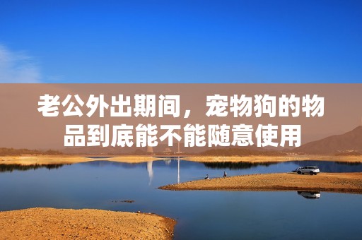 老公外出期间，宠物狗的物品到底能不能随意使用