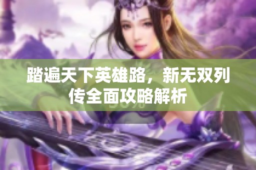 踏遍天下英雄路，新无双列传全面攻略解析