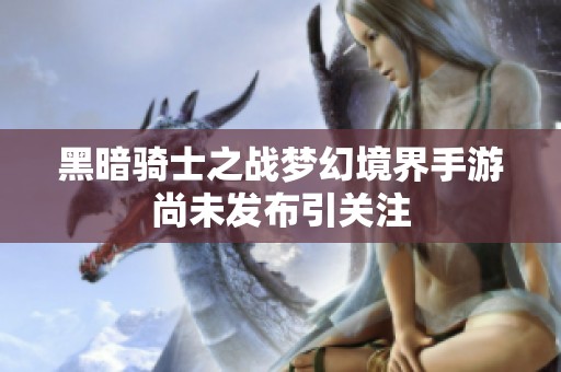 黑暗骑士之战梦幻境界手游尚未发布引关注