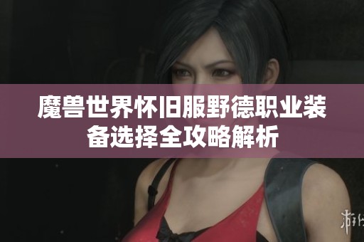 魔兽世界怀旧服野德职业装备选择全攻略解析