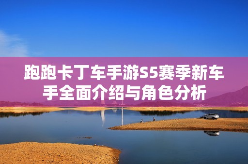 跑跑卡丁车手游S5赛季新车手全面介绍与角色分析