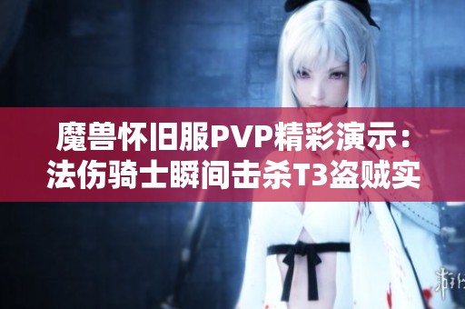 魔兽怀旧服PVP精彩演示：法伤骑士瞬间击杀T3盗贼实录