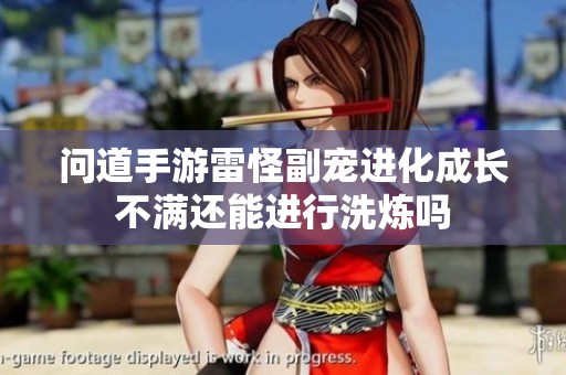 问道手游雷怪副宠进化成长不满还能进行洗炼吗